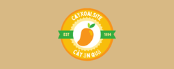 Cayxoai.site